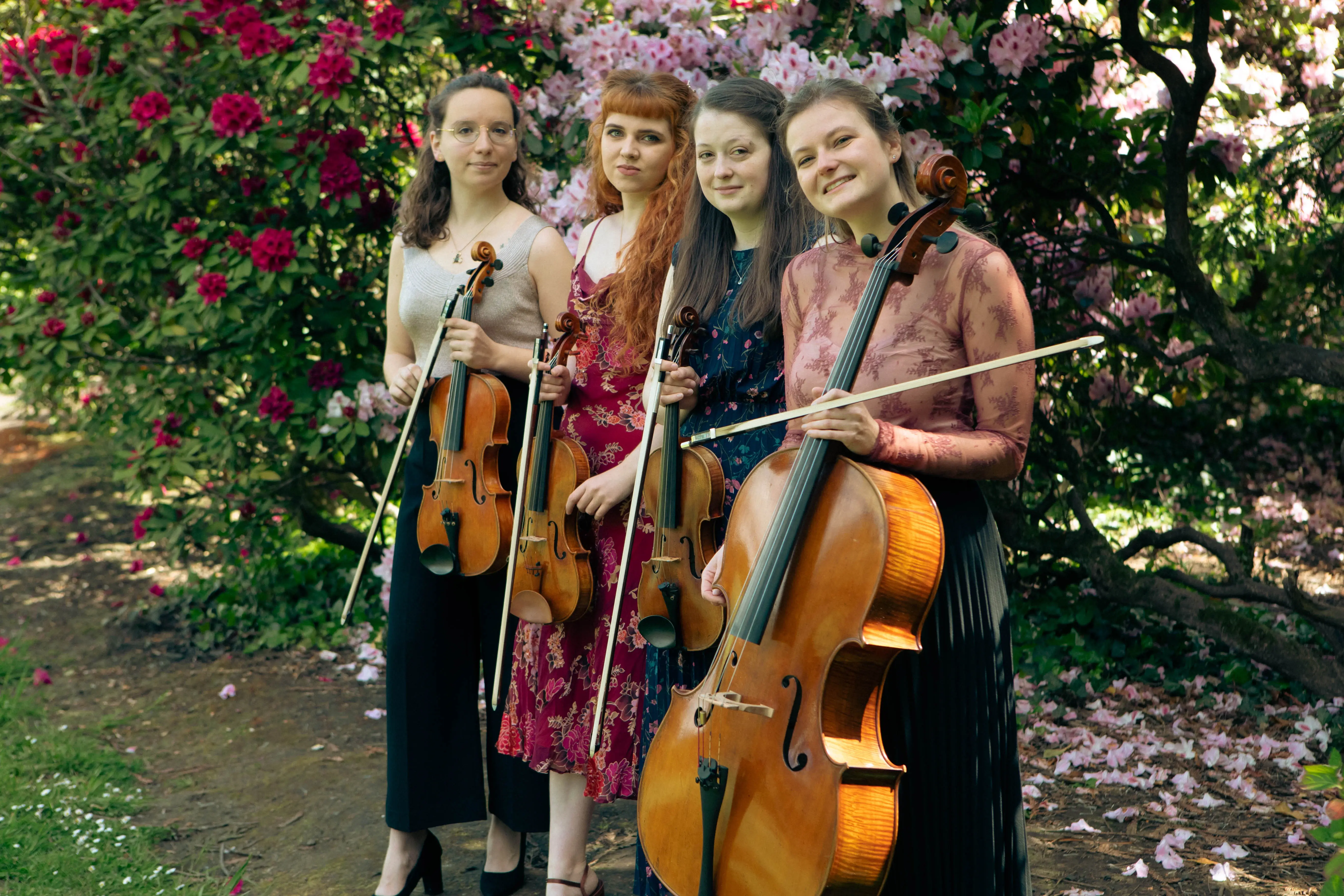serenade strings with bushes in background with red and pink flowers