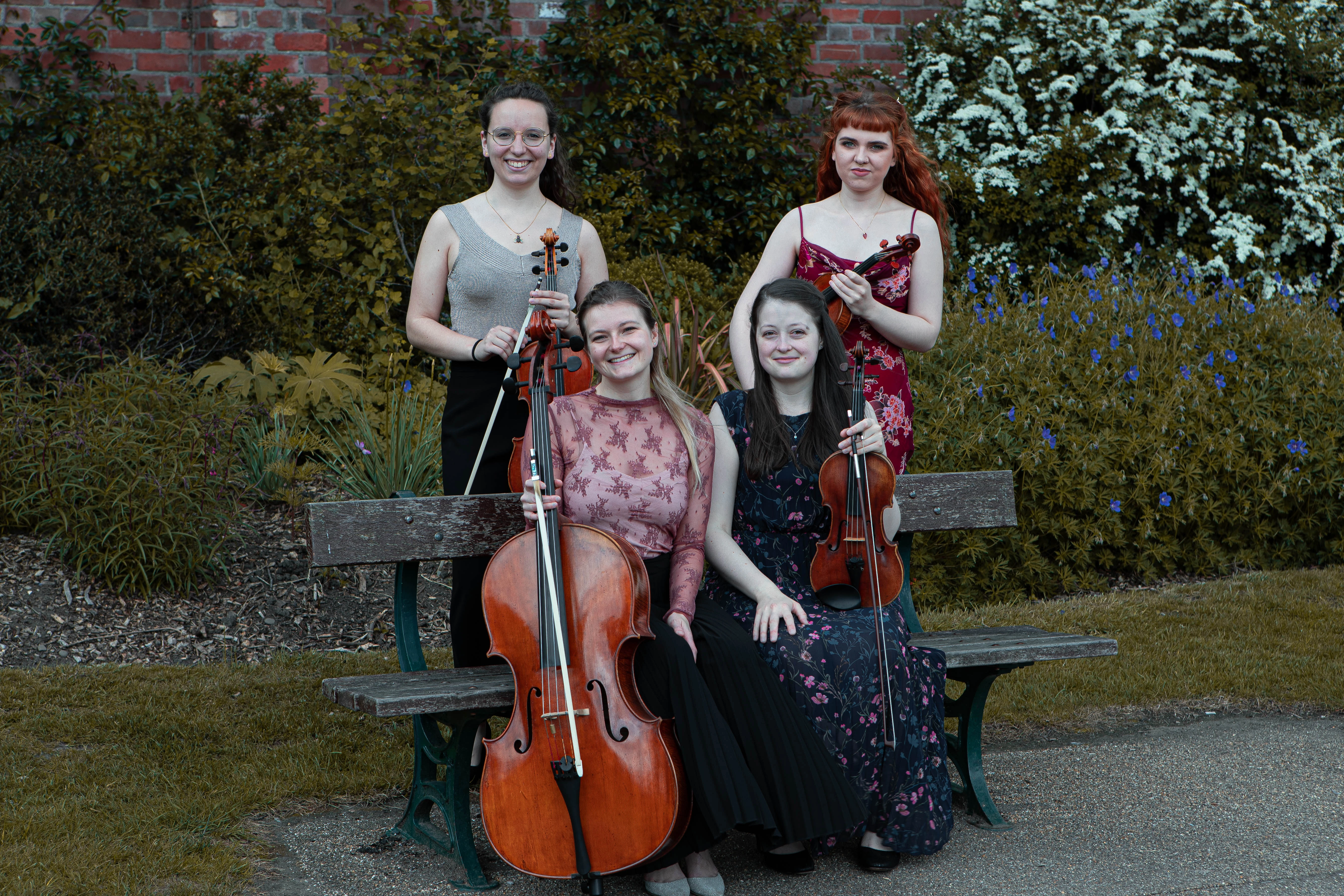 serenade strings on a bench. cello and violin sitting down. viola and violin standing