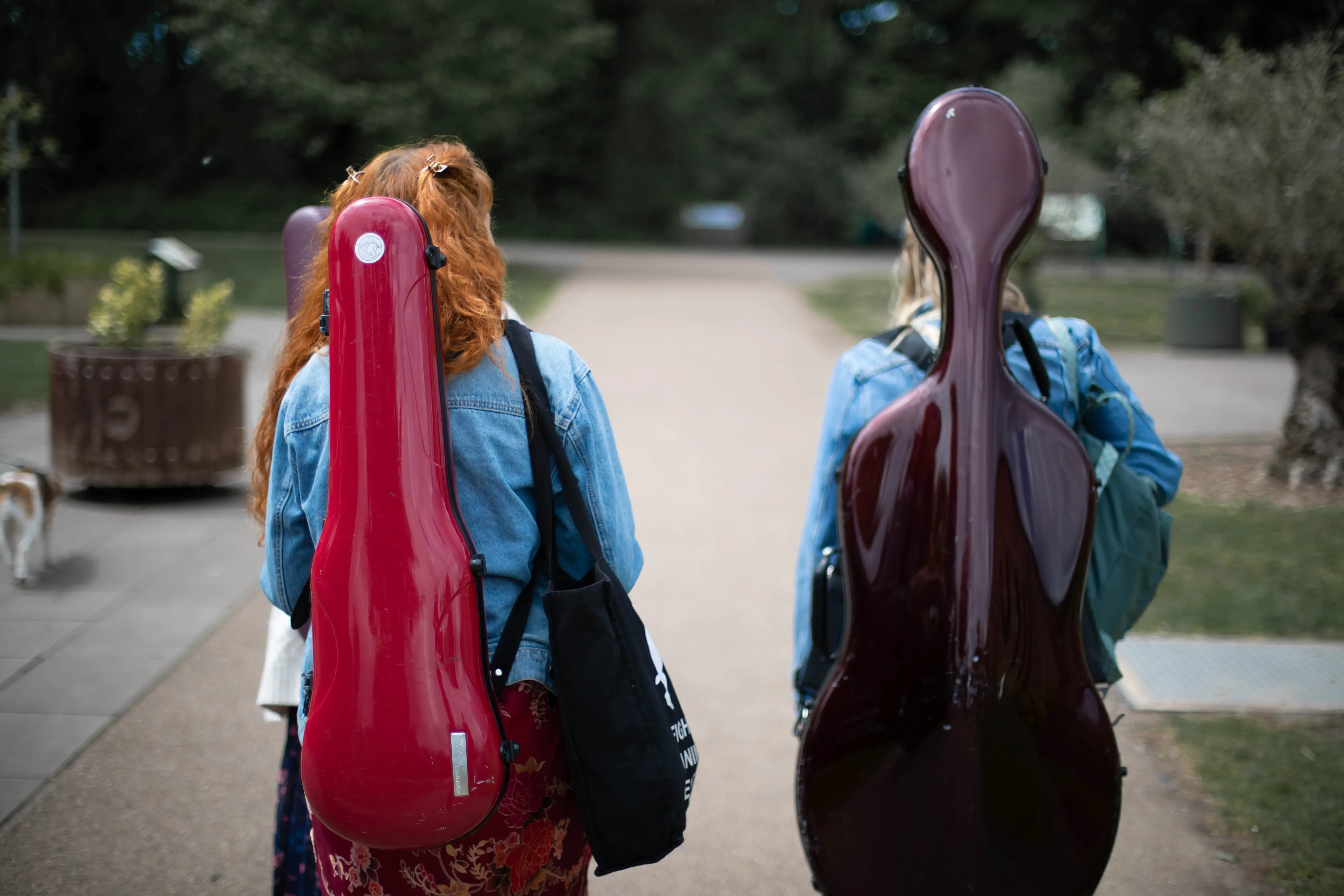 cellist and violinist walking with cases on backs. photo from behind.